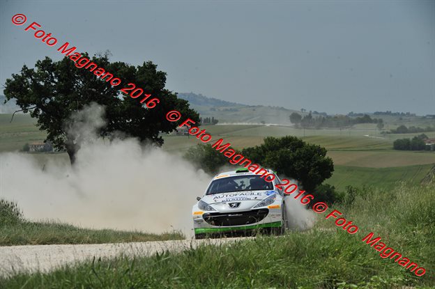 DSC_4774.JPG
